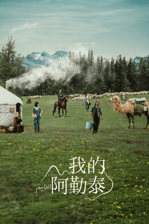 我的阿勒泰